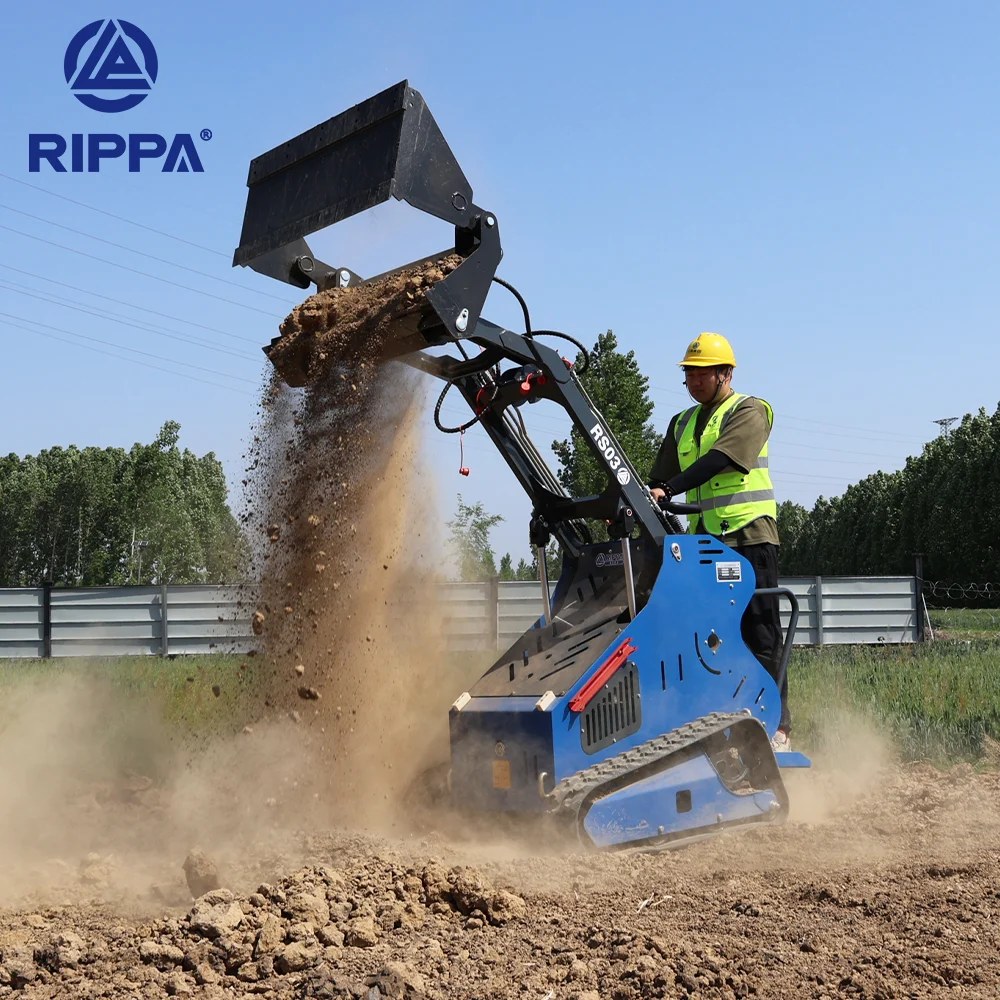 RS 03 — imagine 7