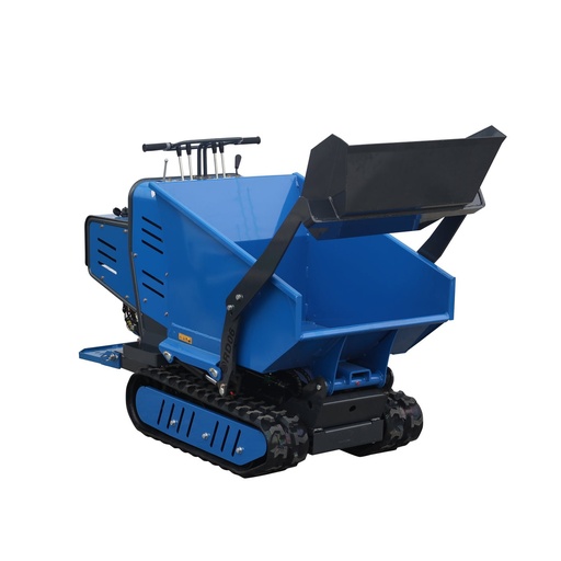 [RIP-RD06] RD 06